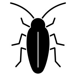 Cockroach Control